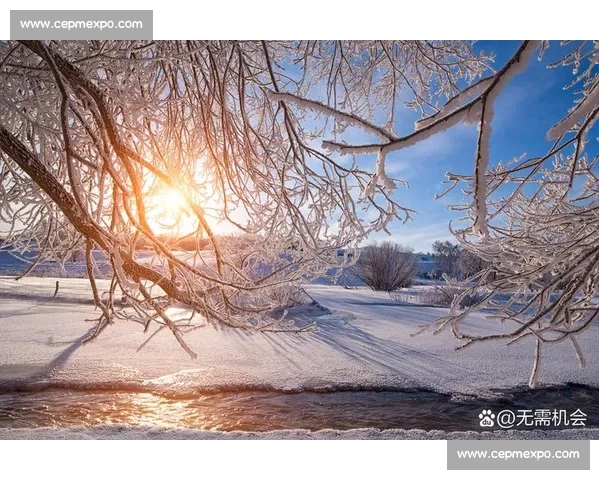 日常微光:触摸生活的温度 日常微光:触摸生活的温度