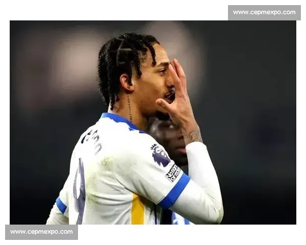 德拉普训练表现惊艳，马雷斯卡盛赞其战术适配加速蓝军融入