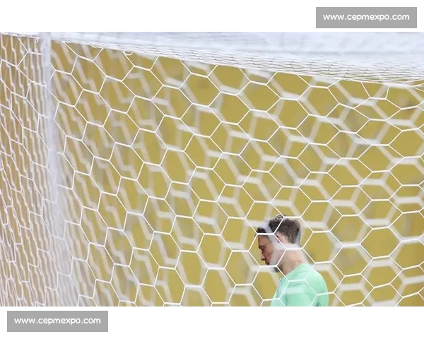 李明携子观战世俱杯：从单车少年到青训引路人的足球传承